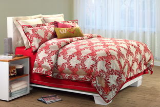 縵狄雅藍家紡產(chǎn)品與加盟店發(fā)展探析