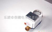 浙江樂(lè)清“春潮牌”IC卡預(yù)付費(fèi)水表的產(chǎn)銷現(xiàn)狀與市場(chǎng)前景